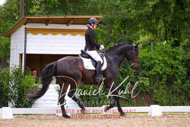 DKP41162 | Turnierfotos kaufen im Webshop von Daniel Kuhl Photography – entdecke professionelle Reitsportfotos aus Turnieren & Events. Hochwertige Turnierbilder online bestellen & sichern. Jetzt Fotos von Reitsportturnieren kaufen!