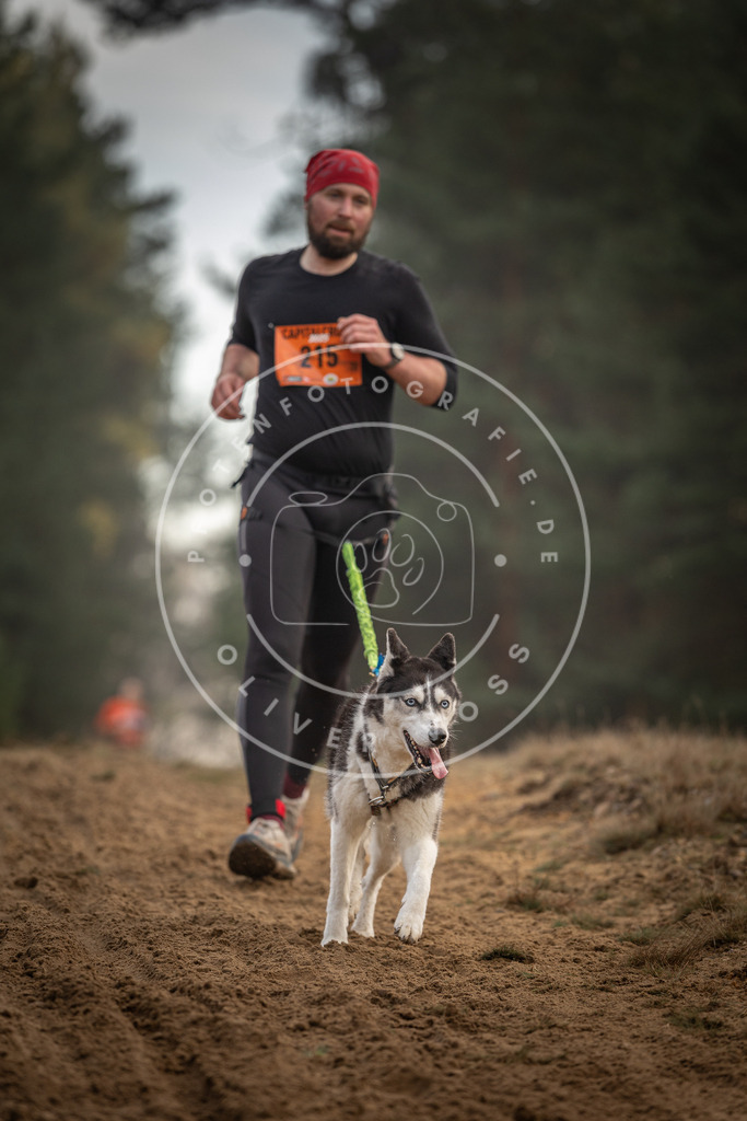 Pfotenfotografie_DV3A5272 | Hundefotografie, Tierfotograf, Pfotenfotografie, Fotoshooting Hund, Hunde Portrait, Hundesport, Hundeportraits, Heideshooting, Hunde, Sportfotograf, Hundefotograf, Turnierhundsport, THS,  - Realisiert mit Pictrs.com