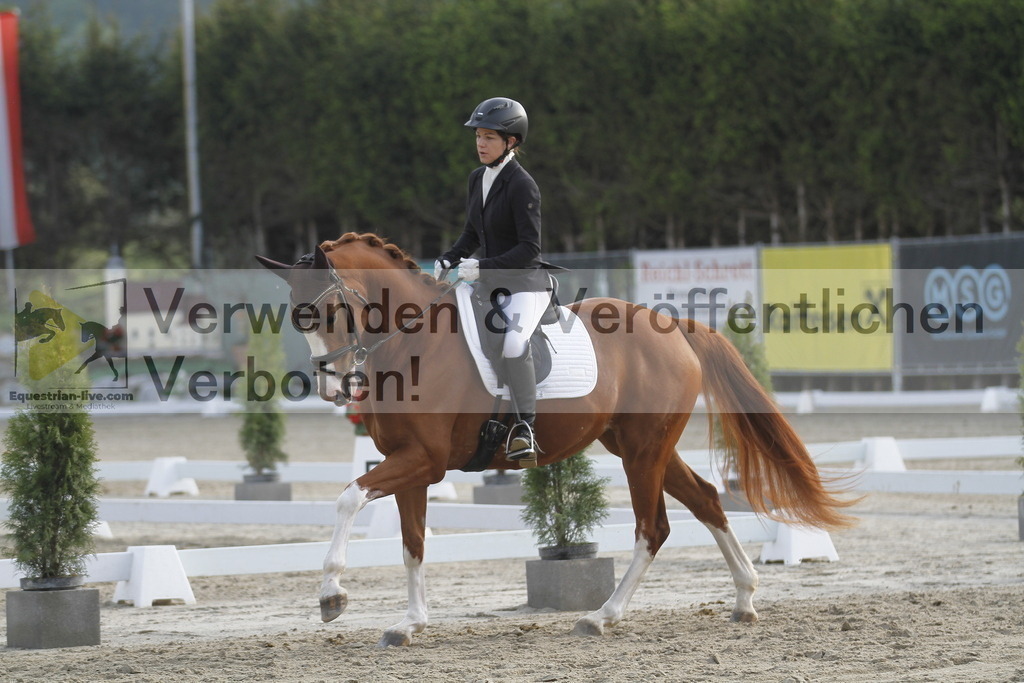 _MG_5747 | equestrian-live-com