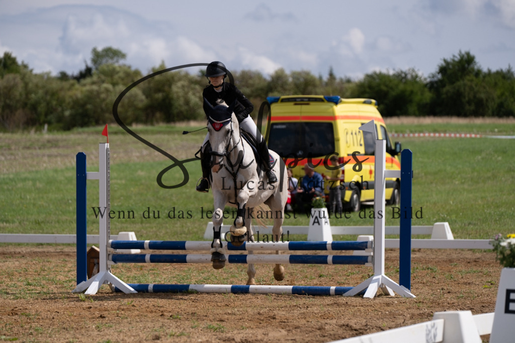 A7V03134 | Pferdefotograf