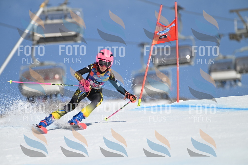 BGV_8532 | holidayphoto