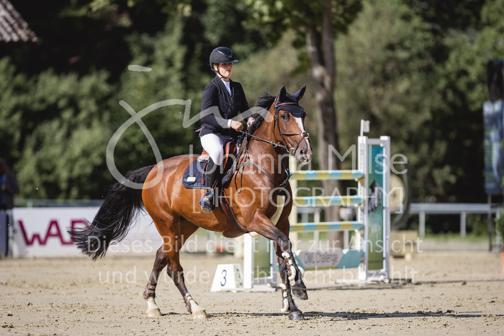 230826_Delbrueck_Youngster-M-521 | Deine schönsten Turniermomente als professionelle Fotos! Entdecke hochwertige Pferdesport-Fotografie im Online-Shop. Jetzt Fotos finden & bestellen!