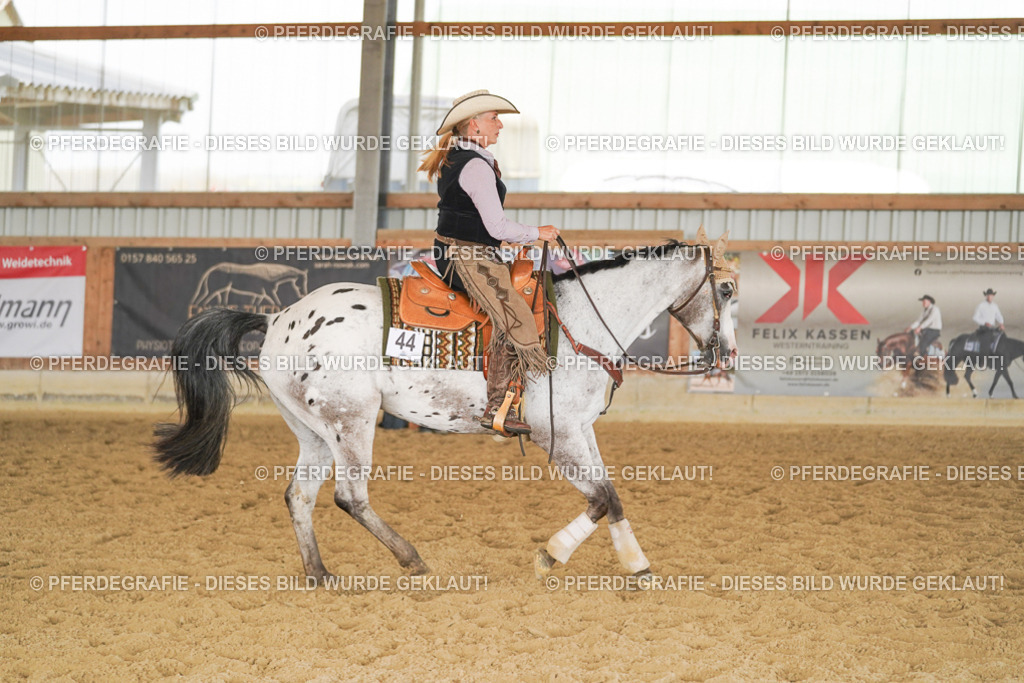 DSC01954 | Pferdegrafie