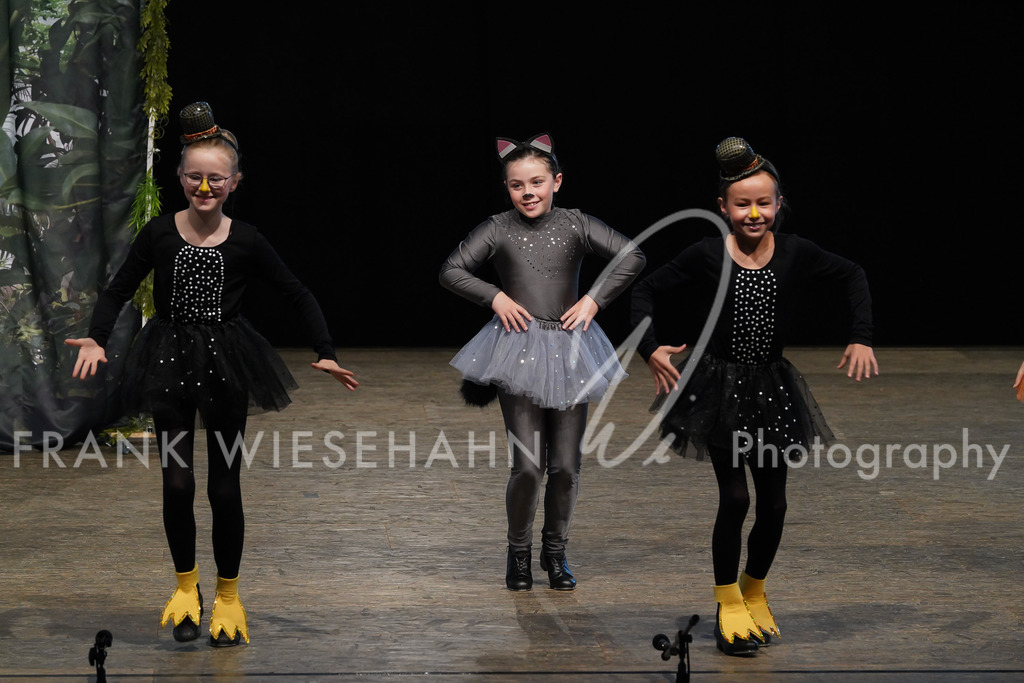 steppdm22_3903 | FRANK WIESEHAHN MEDIA - Realisiert mit Pictrs.com