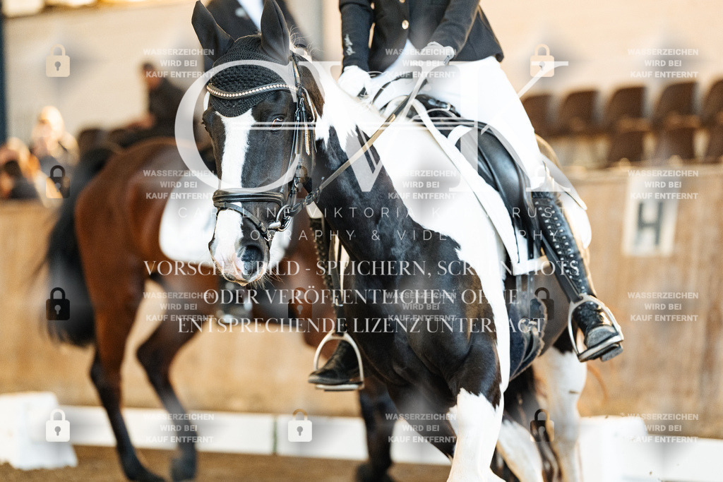 CK907623 | Turnierfotografie Pferdefotografie Trier Rheinland-Pfalz Pferdesport Reitsport Tierfotografie Sportfotografie Pferdevideo Pferdevideografie Equestrianvideography equestrianphotography  - Realisiert mit Pictrs.com