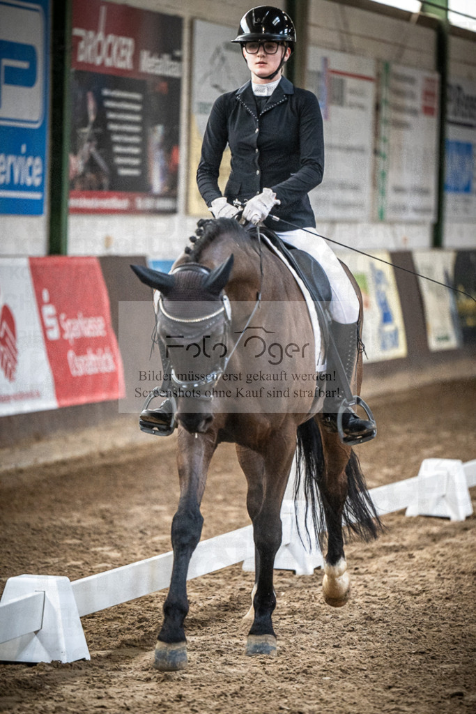 DOS_0214 | Entdecke hochwertige Reitturnierfotos von Foto Oger. Professionell, emotional und authentisch – jetzt Lieblingsmomente im Shop bestellen.Deutschlandweite Turnierfotografie. - Realisiert mit Pictrs.com
