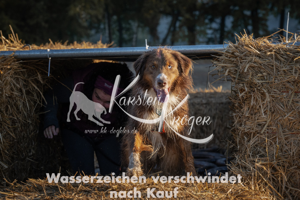 0909_ZZ91731 | kk-dogfotos