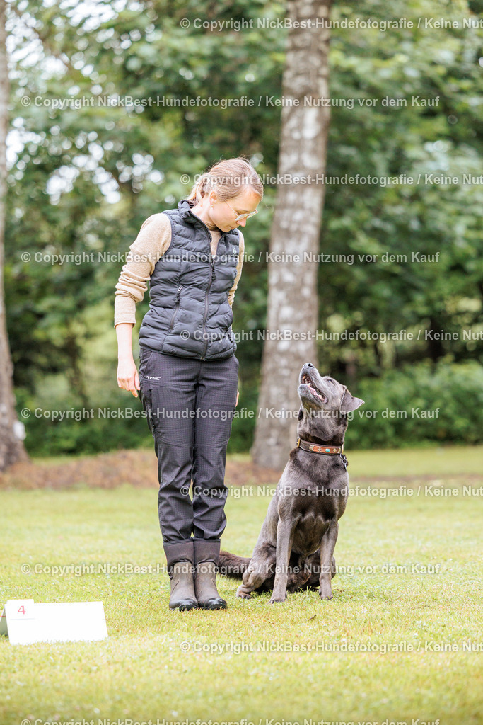RO-Blumenthal-2026-Nickbest-Hundefotografie-1027 | Dein Hund! Dein Moment! Deine Erinnerungen! Hundefotografie in Bremen Blumenthal. Ich fange die besonderen Momente deines Vierbeiners ein – ob Indoor mit Blitzanlage oder in der freien Natur. Sicher dir dein Moment und dein Termin für eure Erinnerungen.