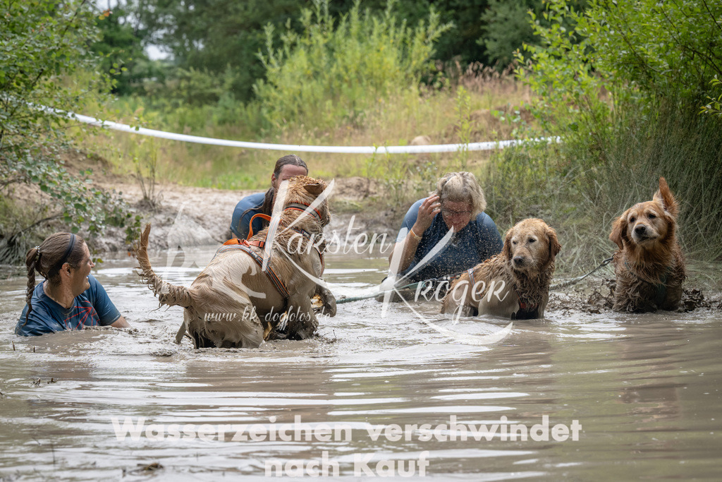 1455_ZZ94299 | kk-dogfotos