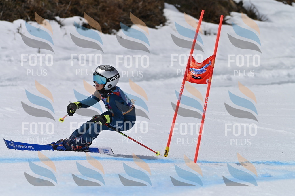 BGV_6249 | holidayphoto