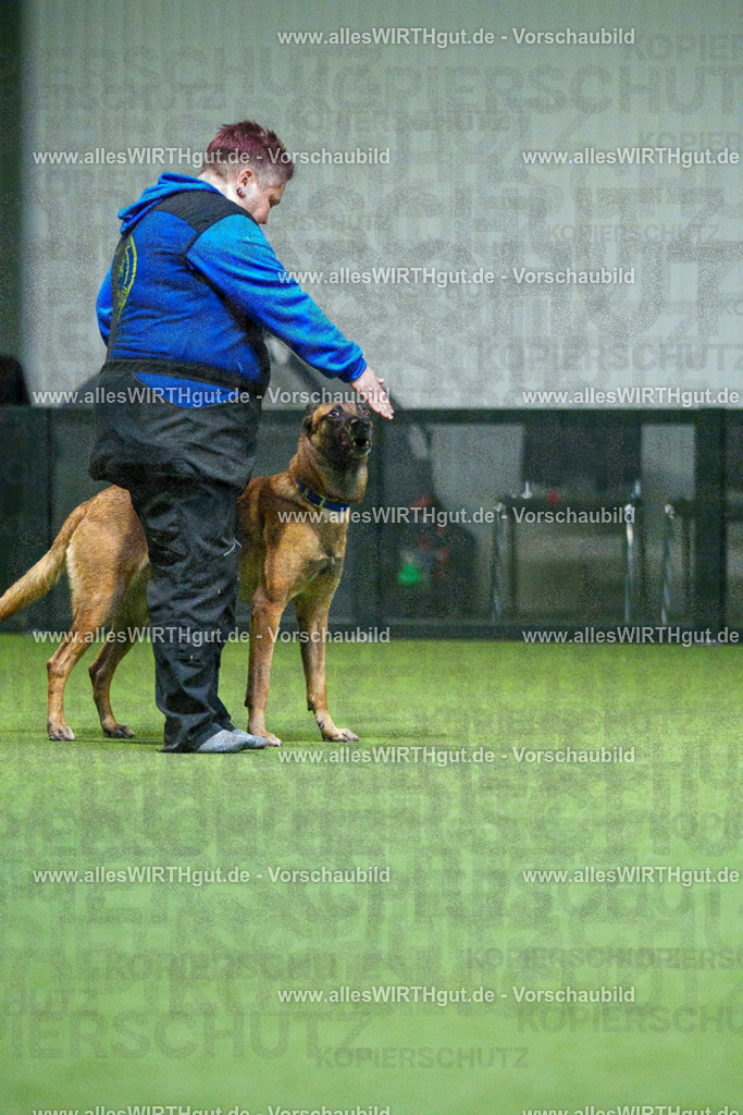 7R503772 | Professionelle Tierfotografie in Mönchengladbach von Daniel Wirth (allesWIRTHgut). Liebevolle & natürliche Bilder von Hunden & Katzen für unvergessliche Erinnerungen.