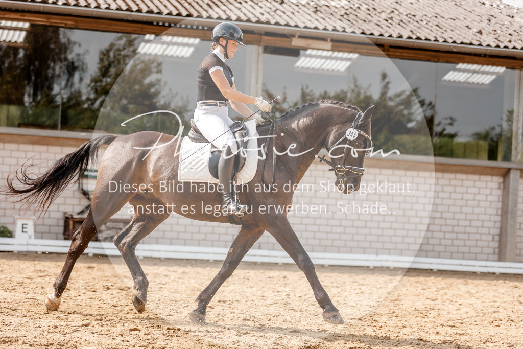 3I6A3990 | Stimmungsvolle Portraits und Reitsportfotografie im Ruhrgebiet und im Münsterland.

Pferdefotografie, Hundefotografie, Tierfotografie, Reportagen, Portraits von Tier und Mensch, Turnierfotografie in Bochum, Recklinghausen, Marl, Haltern am See, Dülmen.. - Realisiert mit Pictrs.com