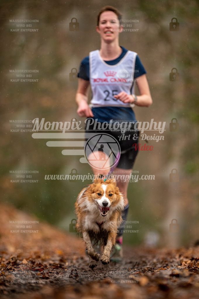 SPA_2023_DIM_CCL-82 | PayLife