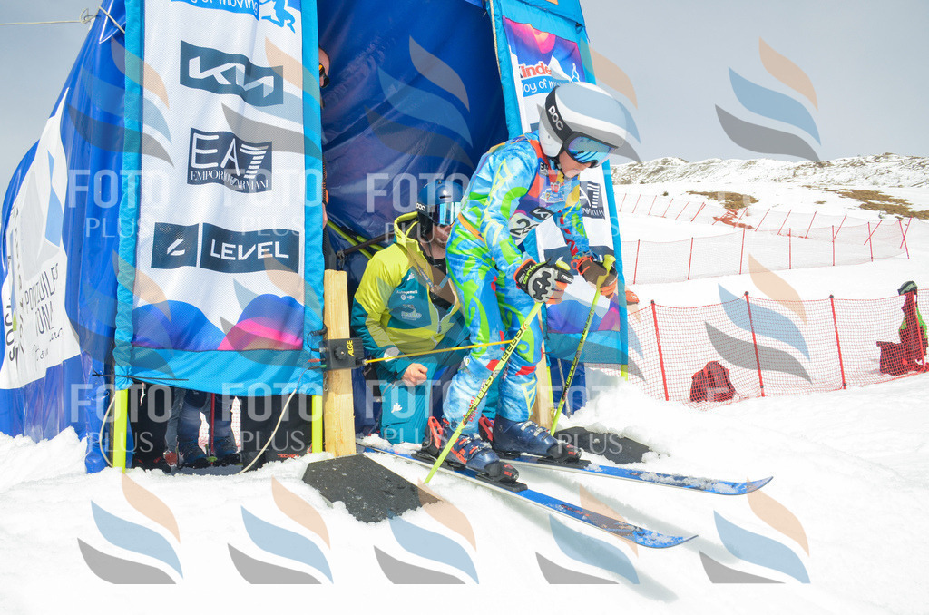 _ELE7951 | holidayphoto