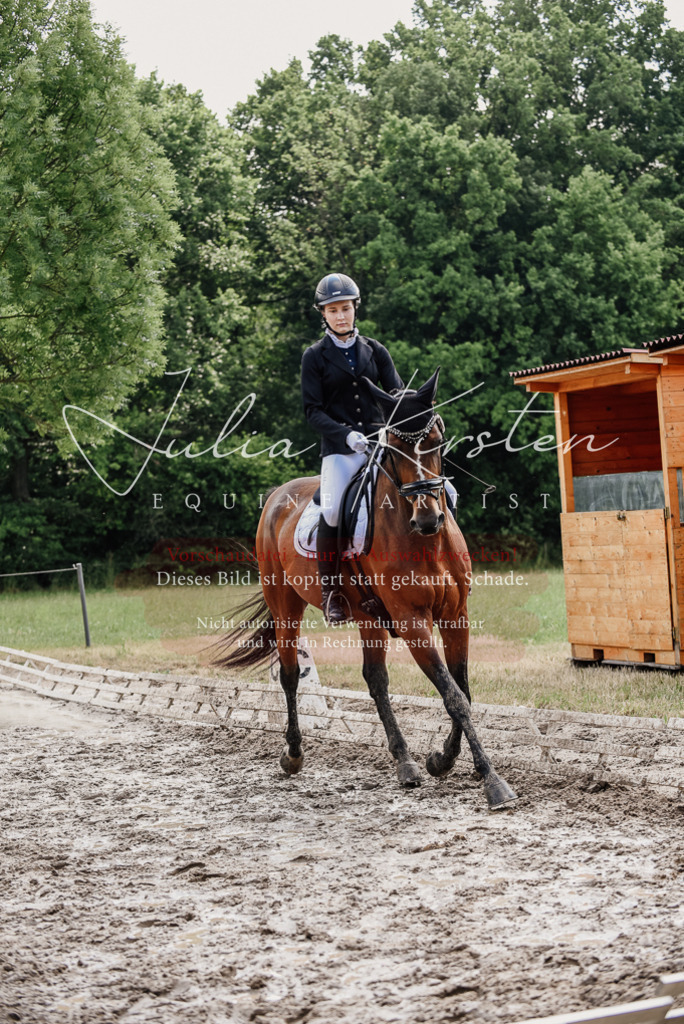 DSC_0436 | Pferde- und Turnierfotografie in Westsachsen. Pferdeportraits, Auftragszeichnungen und intuitive Kunst.