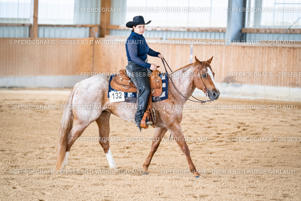 DSC01981 | Pferdegrafie