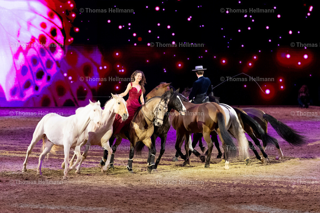 TH_Hop Top Show_26996 | EQUITANA 2025 am 09.03.25 in Essen