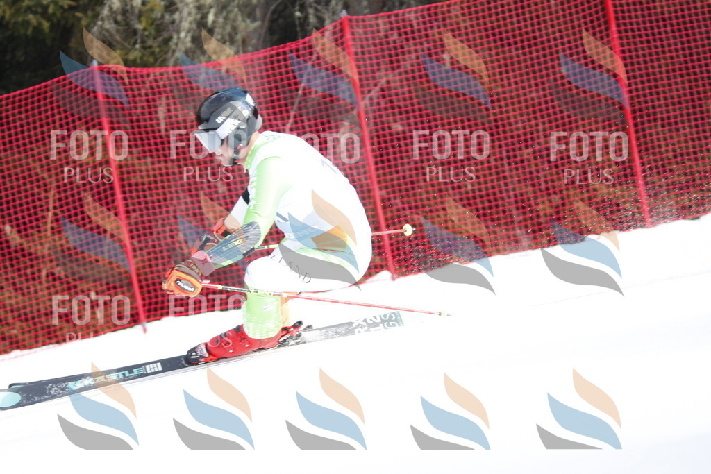 D7395 | holidayphoto