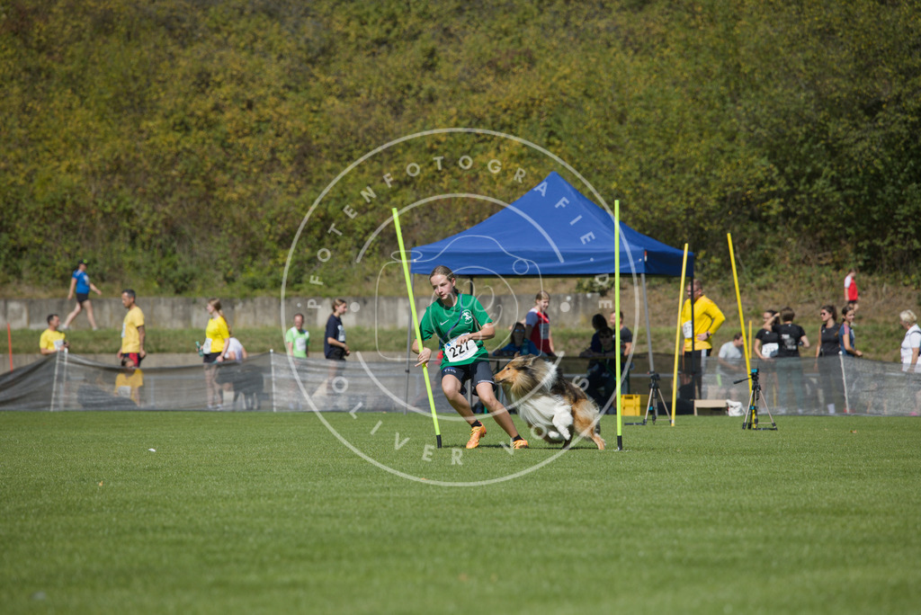 0L8A6033 | Hundefotografie, Tierfotograf, Pfotenfotografie, Fotoshooting Hund, Hunde Portrait, Hundesport, Hundeportraits, Heideshooting, Hunde, Sportfotograf, Hundefotograf, Turnierhundsport, THS,  - Realisiert mit Pictrs.com