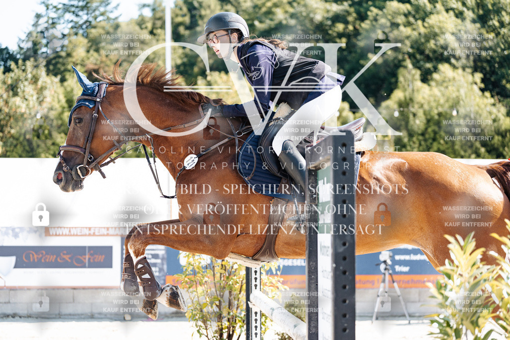 CK908049 | Turnierfotografie Pferdefotografie Trier Rheinland-Pfalz Pferdesport Reitsport Tierfotografie Sportfotografie Pferdevideo Pferdevideografie Equestrianvideography equestrianphotography  - Realisiert mit Pictrs.com