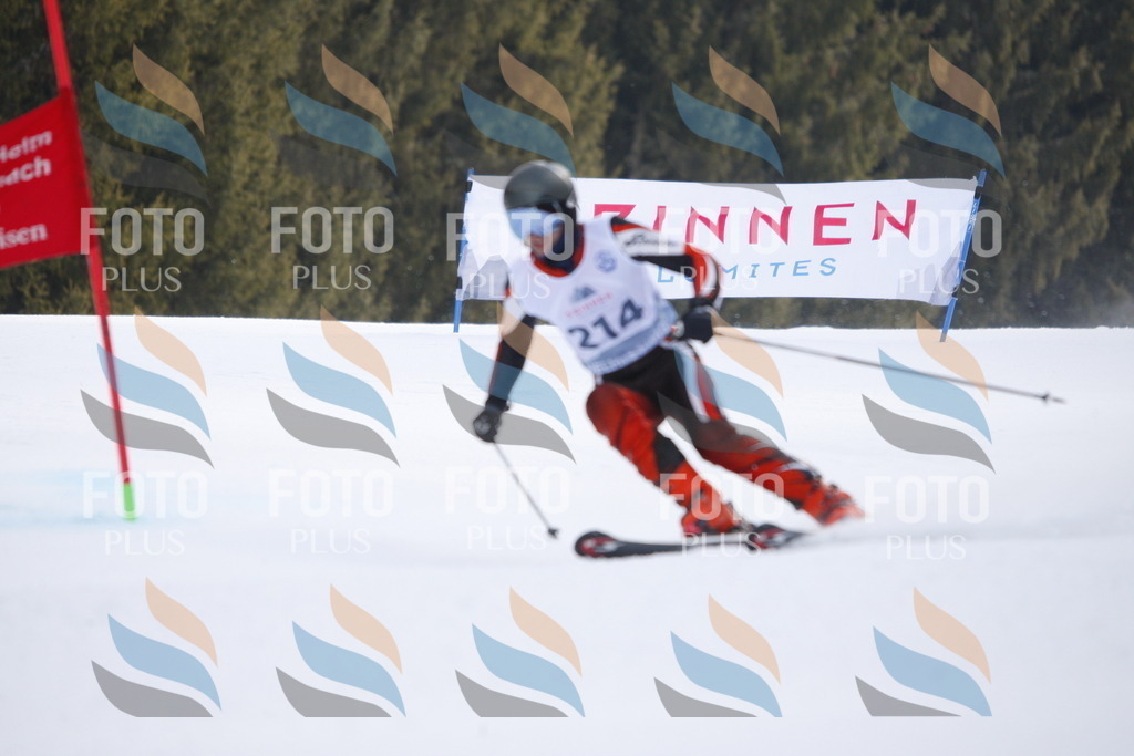 D8291 | holidayphoto