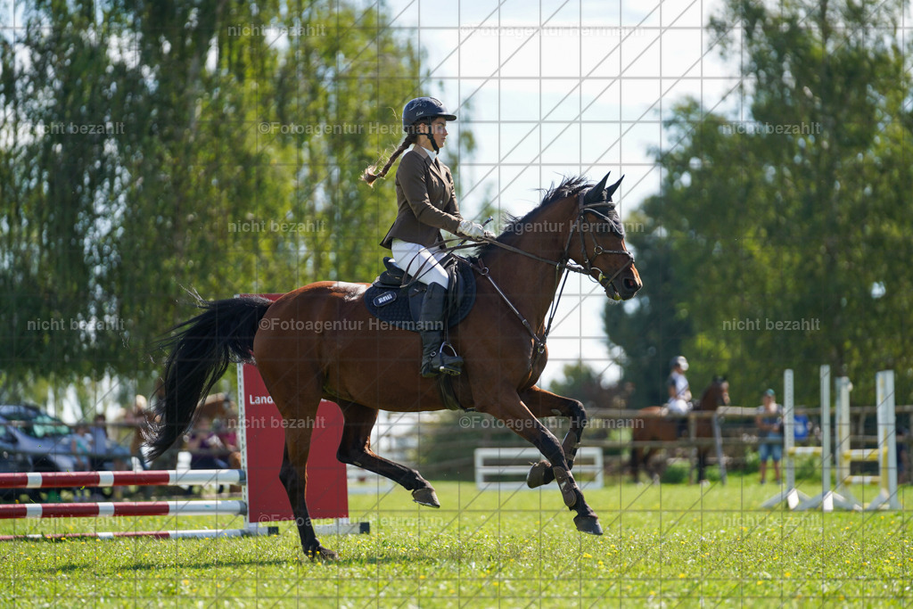 20230917-FAH09363 | Landsberg am Lech, 2023, Kaufbeuren, Kempten, Allgäu, Turnierfotografen Bayern, Fotoagentur Herrmann, Turnierbilder, Reitsport Fotos, Pferdefotograf, Augsburg, Bad Tölz, Dachau, Karlsfeld, Memmingen, Buchloe, Schwabmünchen