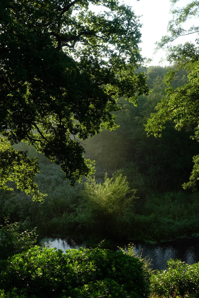 DSC00022 | AHORN PHOTOGRAPHY - Realisiert mit Pictrs.com