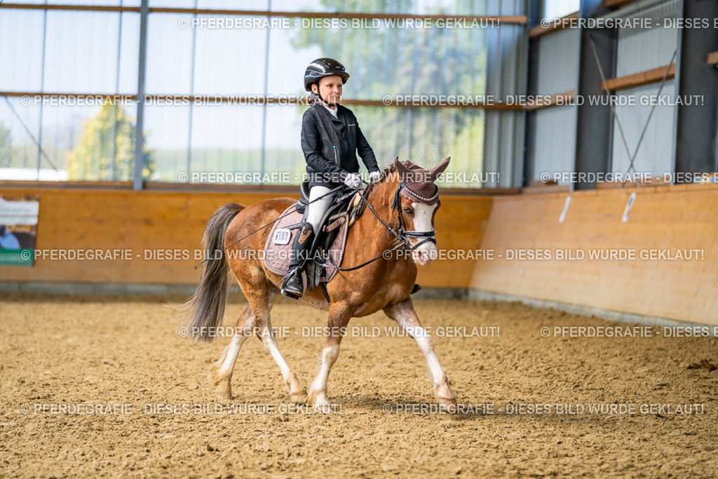 DSC03041 | Pferdegrafie