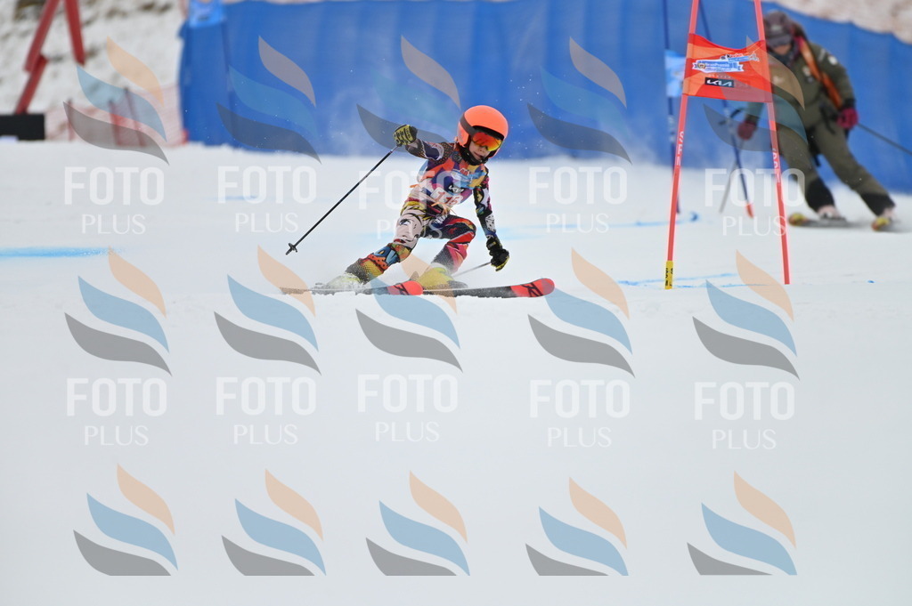 BGV_9593 | holidayphoto