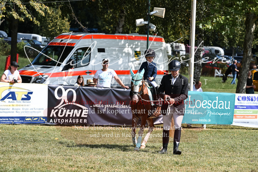 DSC_6880 | Pferde- und Turnierfotografie in Westsachsen. Pferdeportraits, Auftragszeichnungen und intuitive Kunst.