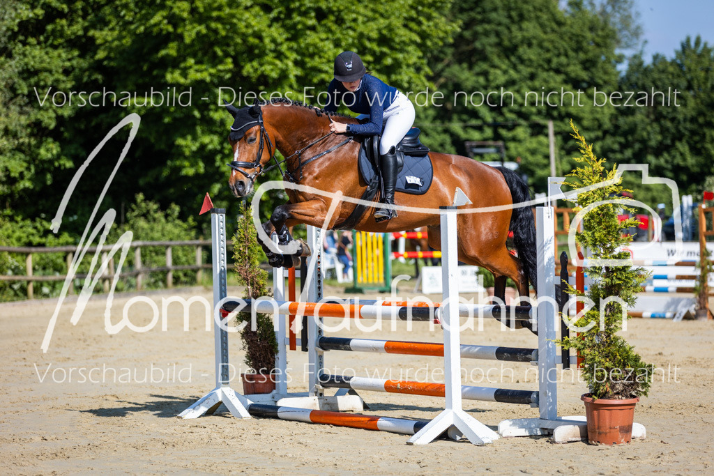 Donop24-ASpr-037 | MomenTaufnahmen Pferdesportfotos