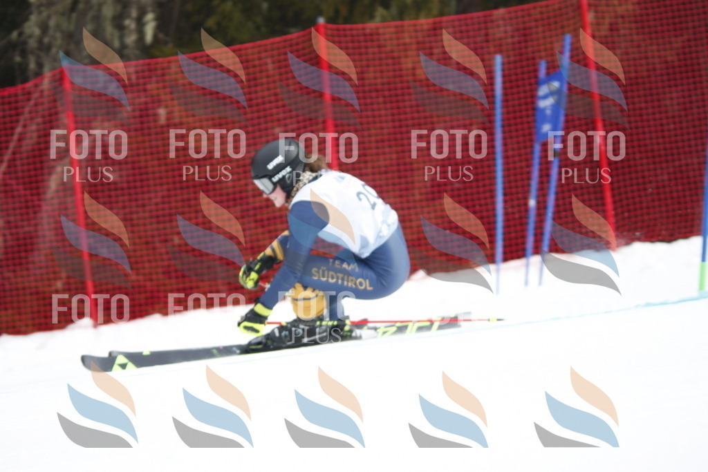 D4861 | holidayphoto