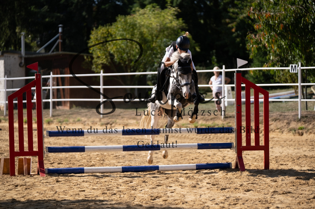 A7V02483 | Pferdefotograf