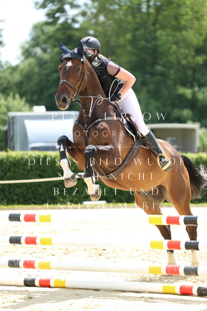 IMGM2165 | pl-fotografie