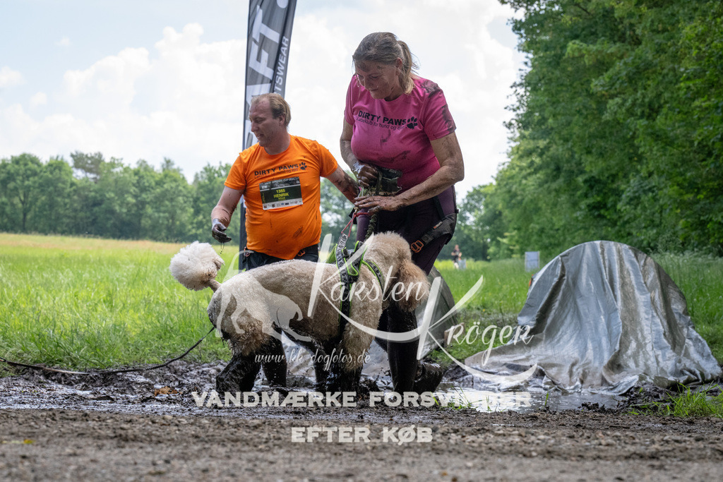 1143_ZZ94254 | kk-dogfotos