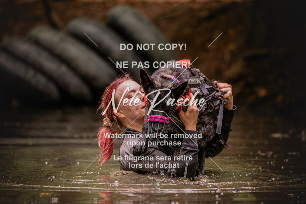 nelerasche_SaWingst1030-1130_211 | nelerasche