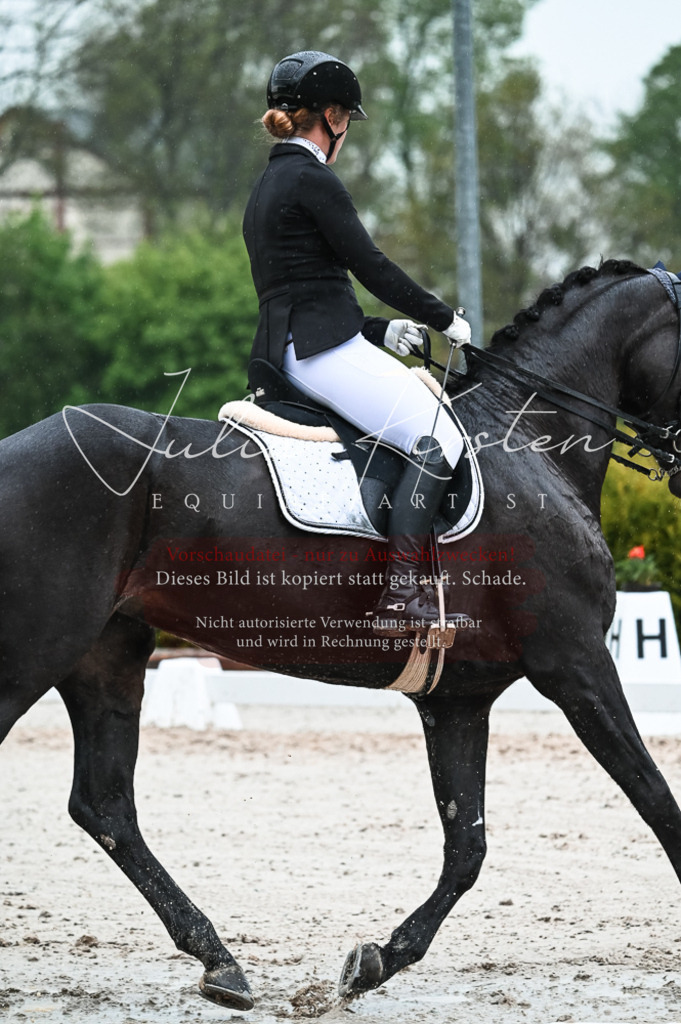 DSC_4489 | Pferde- und Turnierfotografie in Westsachsen. Pferdeportraits, Auftragszeichnungen und intuitive Kunst.