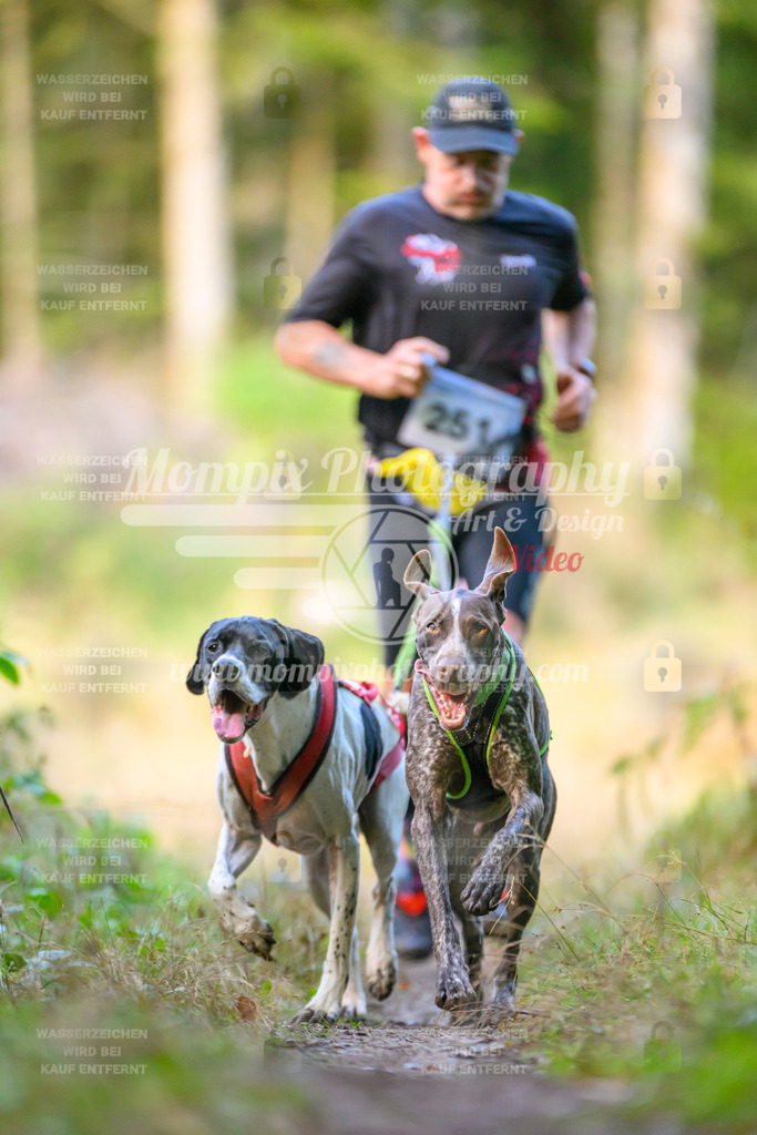 MompixPhotography_Yens2025_B3-49 | PayLife