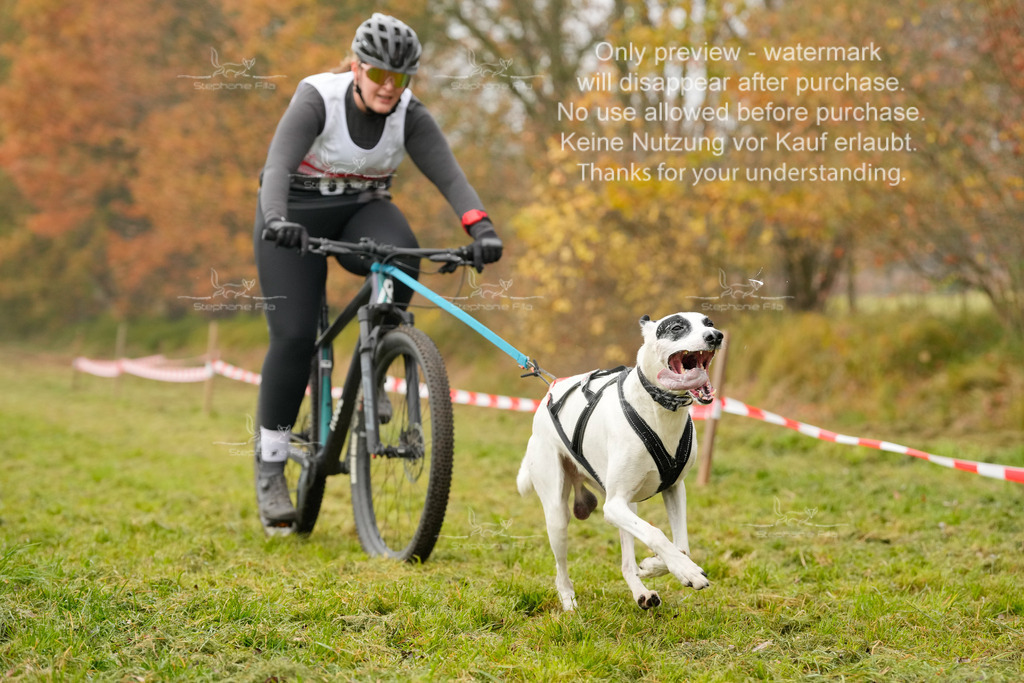 Visbeck_Sa_Bike-184 | stephaniefillaphotographie - Realisiert mit Pictrs.com