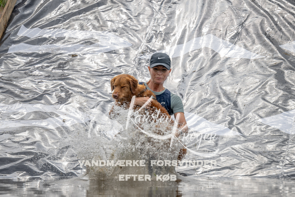 1259_ZZ90257 | kk-dogfotos