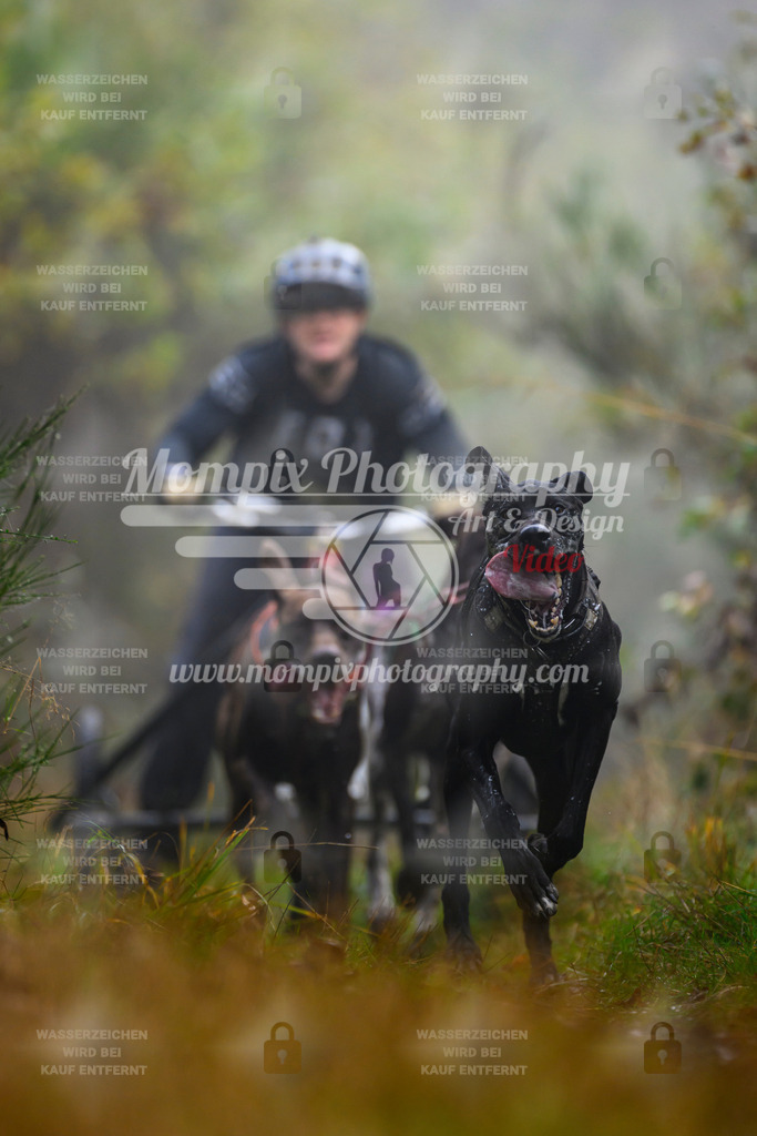 MompixPhotography_20TSB_E4_Kart-18 | PayLife