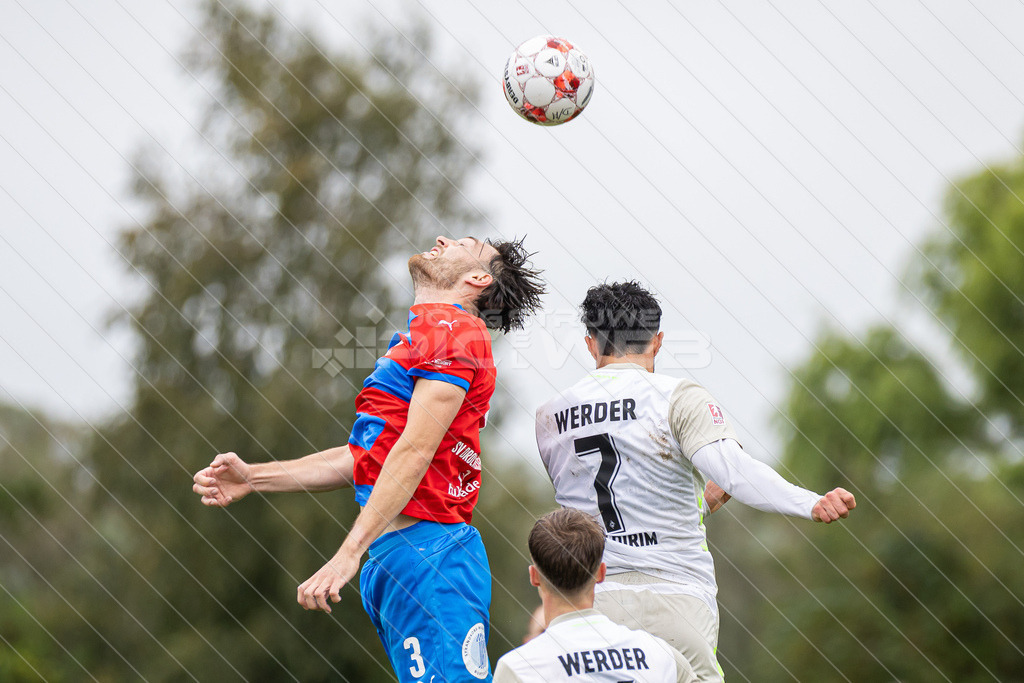 20250921_Picselweb-Fotografie_Meta_1R3_1709 | SV Drochtersen Assel - Werder Bremen II 3:2 - Realisiert mit Pictrs.com