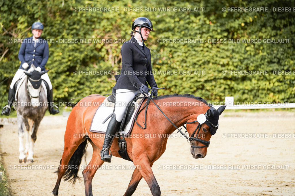 DSC01588 | Pferdegrafie