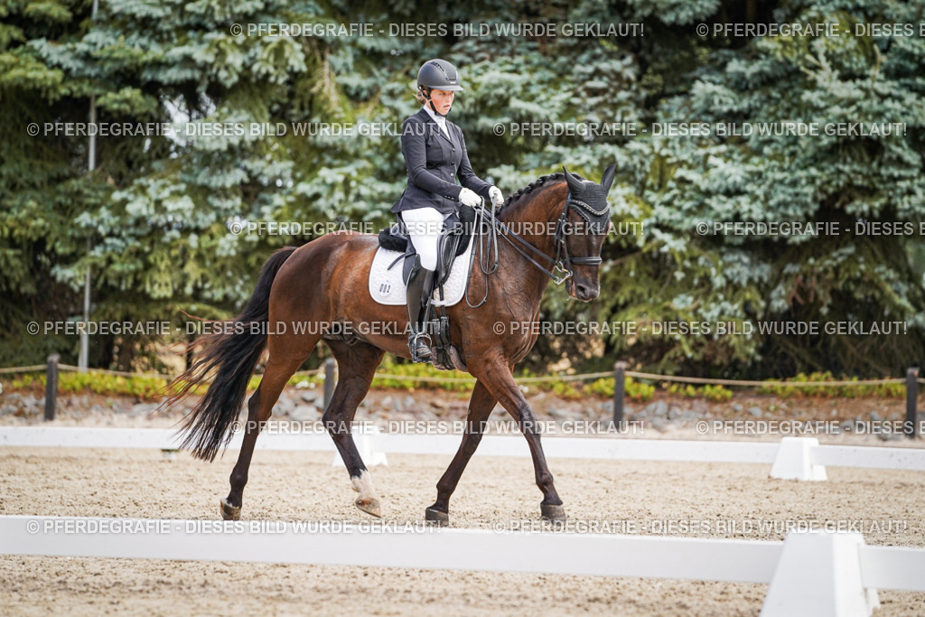 DSC03458 | Pferdegrafie