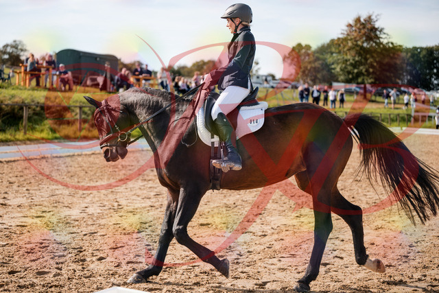 2026_10_03_Siefer-Hof_133421_Z63_92653489 | Professionelle Reitsport-, Turnier- und Eventfotografie von Robert Broda. Galerien mit ausgewählten und bearbeiteten Bildern direkt online ansehen und bestellen.