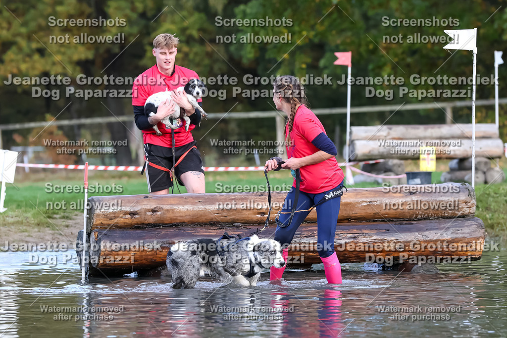 Dog Paparazzi - Strongdog 10-25-6991 | Dog Paparazzi Jeanette Grottendiek Fotografie & Videografie - Realisiert mit Pictrs.com