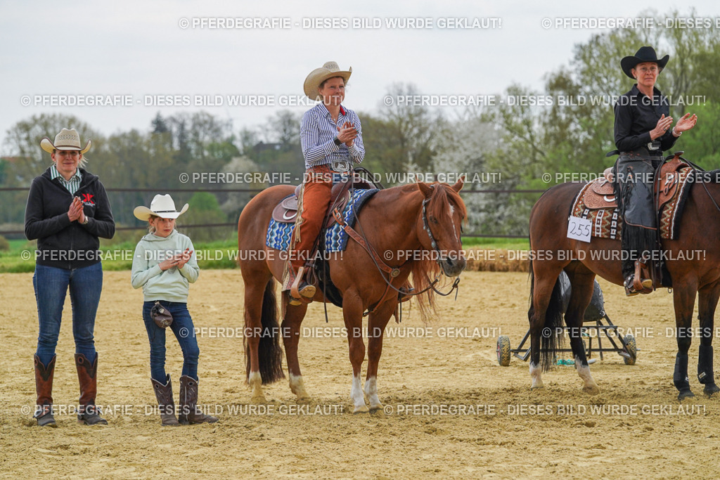 DSC07852 | Pferdegrafie