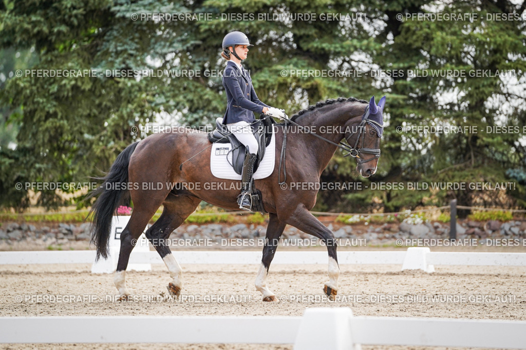 DSC01508 | Pferdegrafie