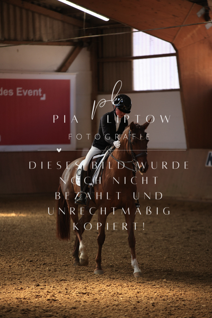 IMGT3097 | pl-fotografie