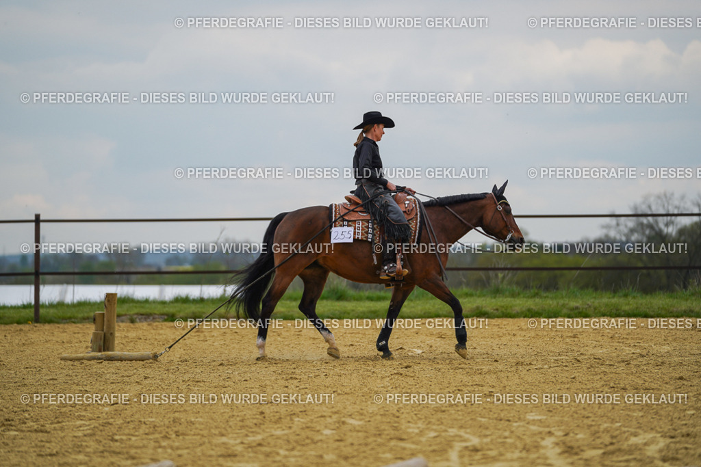 DSC07674 | Pferdegrafie